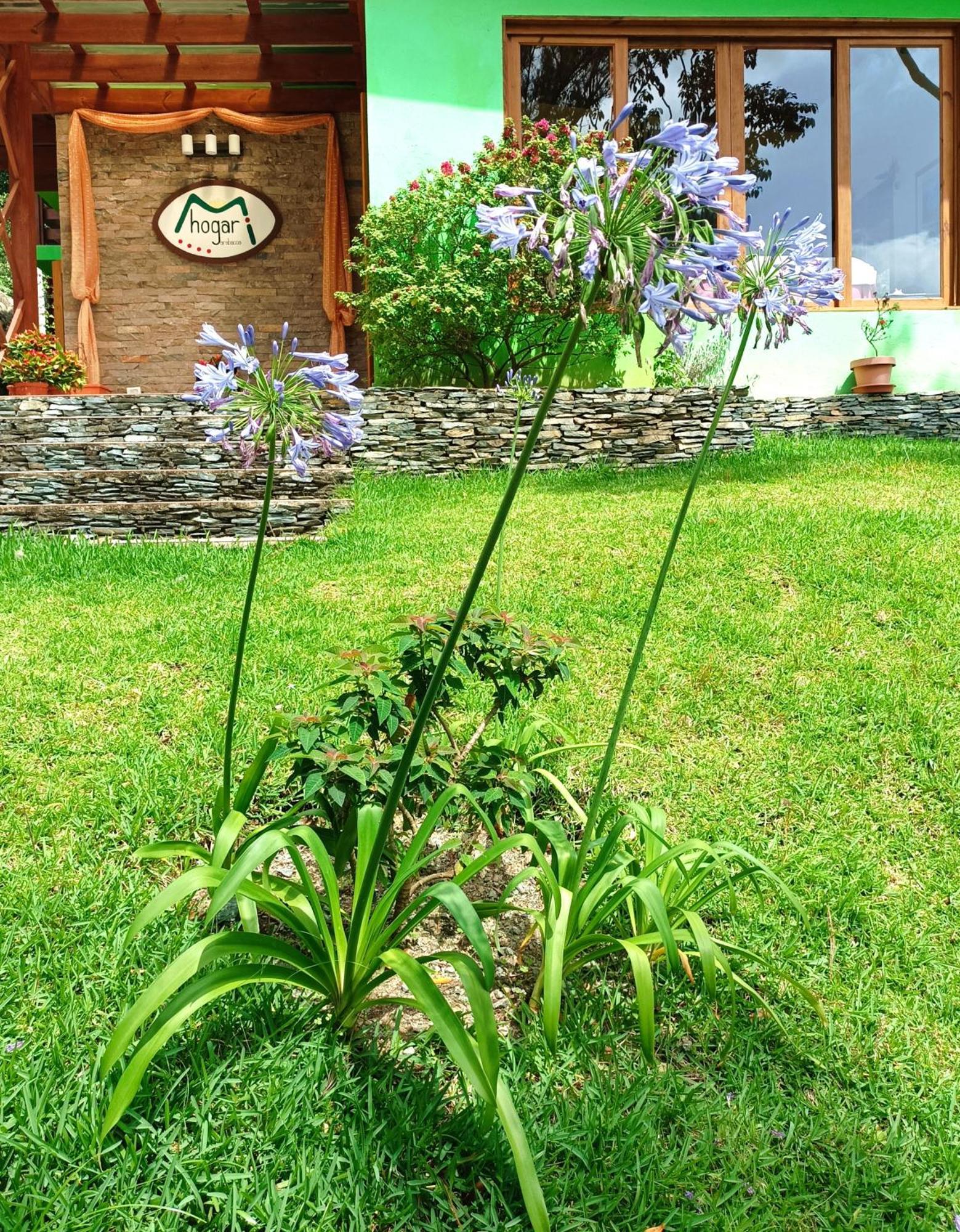 Mi Hogar Jarabacoa Exterior foto