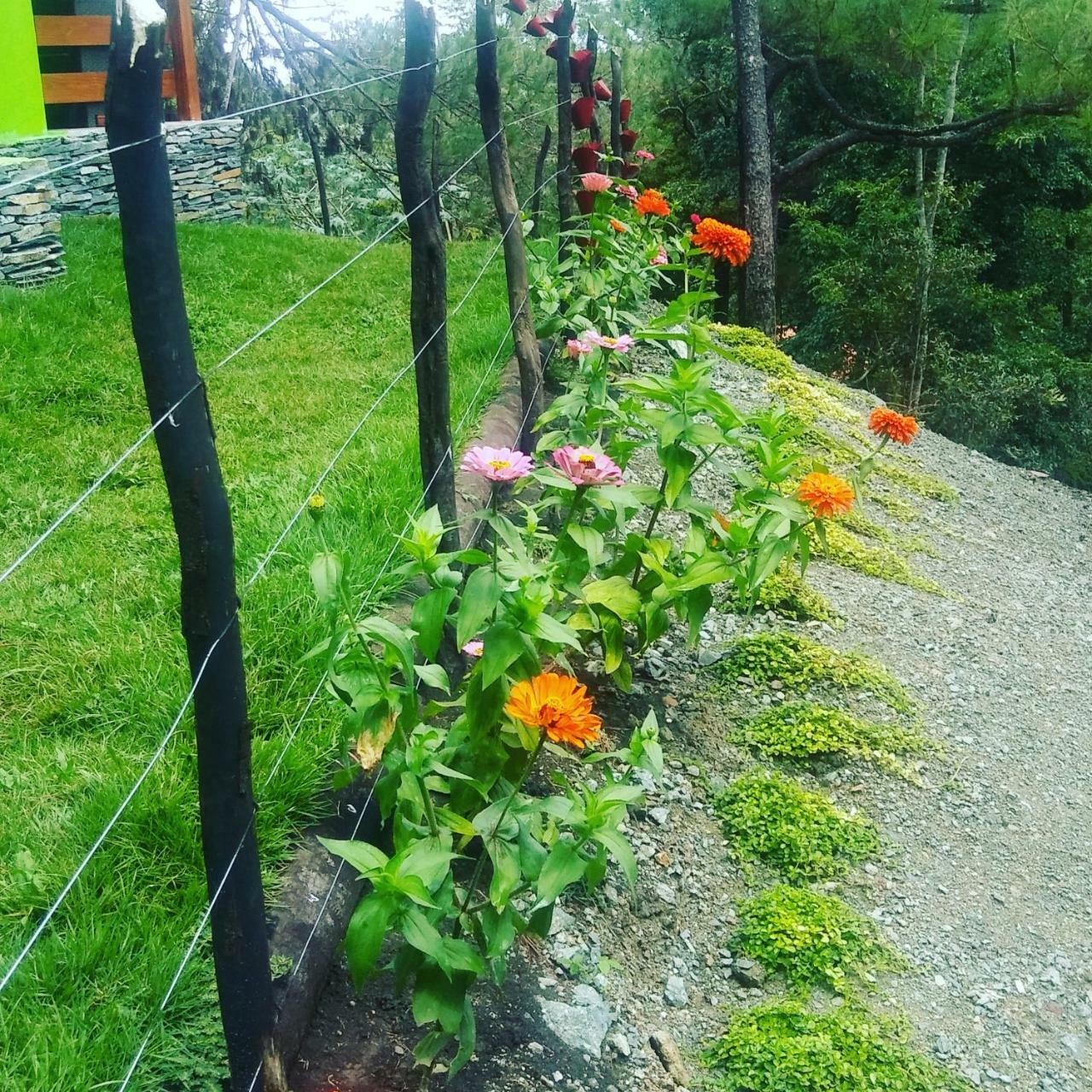 Mi Hogar Jarabacoa Exterior foto